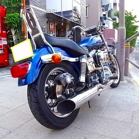 RIMG4726x.jpg