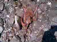 IMAG0062.jpg