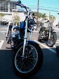 IMAG0075.jpg