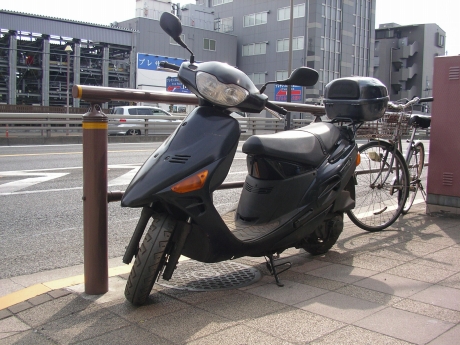 IMGP3125.jpg